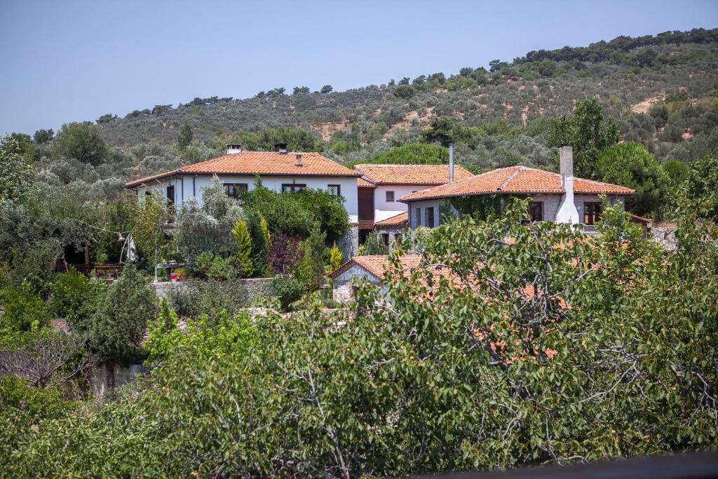 Zeytinbagi Hotel Gure Εξωτερικό φωτογραφία